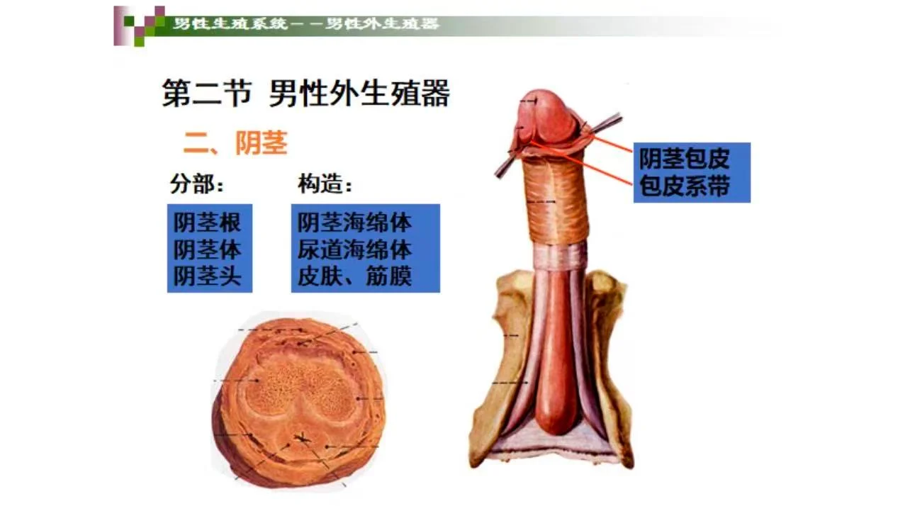 项目配图