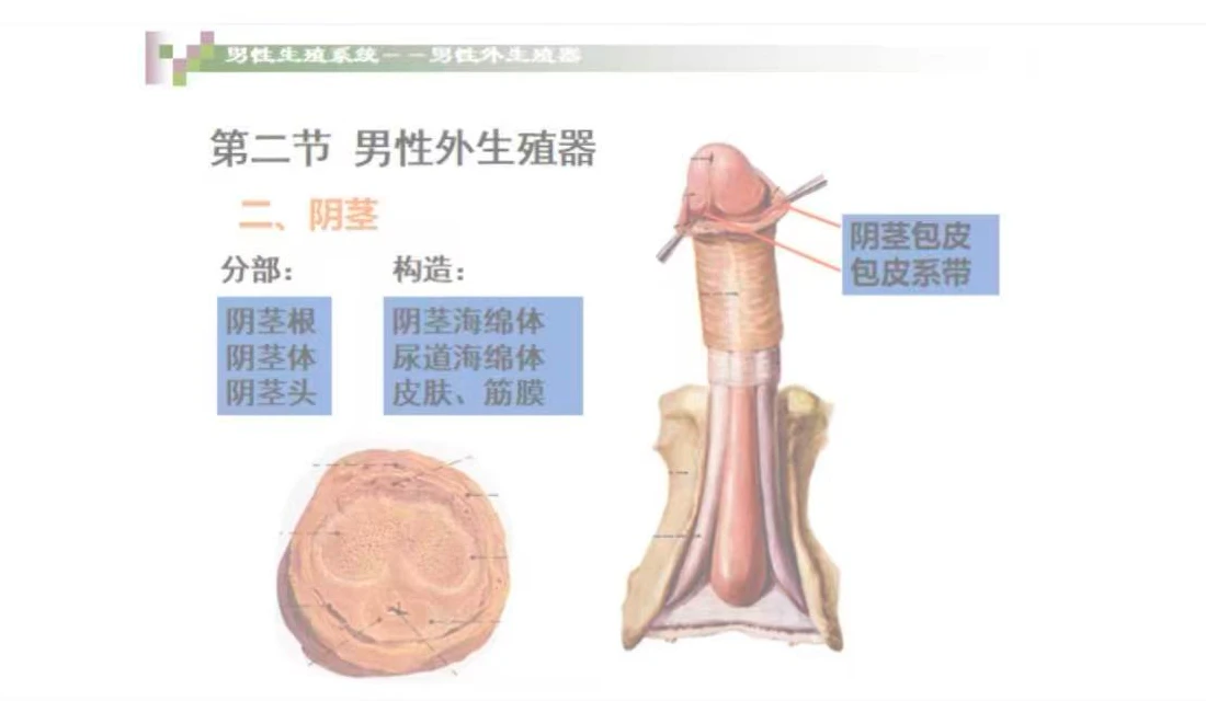 课程配图